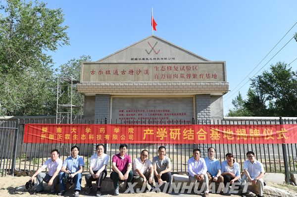 新疆沃霖生態(tài)科技有限公司